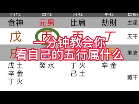 天運五行屬木|天運五行(五行命理)